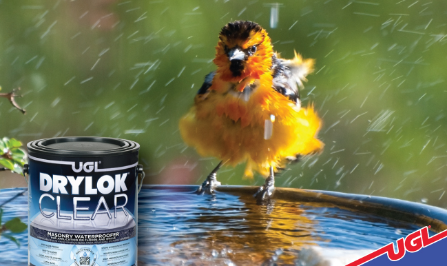 UGL Blog DRYLOK clear Bird Bath