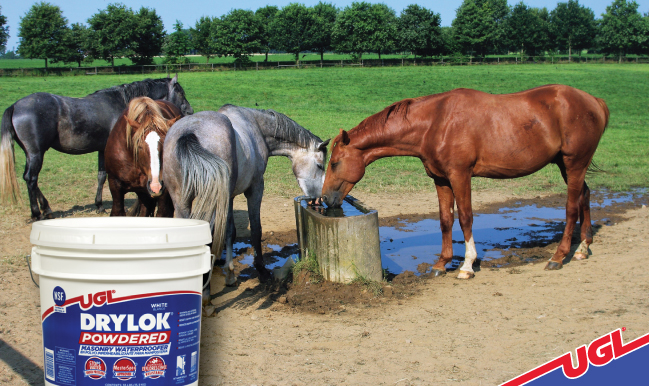 UGL Blog DRYLOK Powdered Masonry Waterproofer Livestock Water Troughs