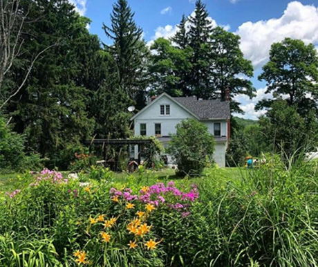 back of 19th century white house and field of flowers